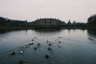 Birds swimming in lake against sky