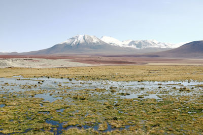 Scenic view of snowcapped mountains against clear sky