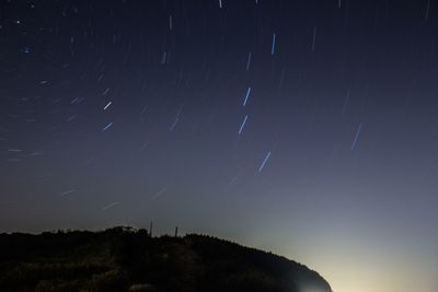 Low angle view of trees against sky at night