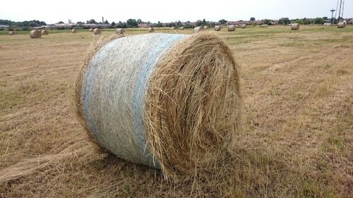 Hay bales on grassy field