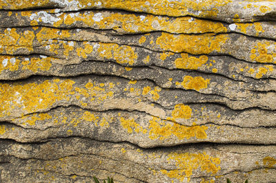 Rocky waves