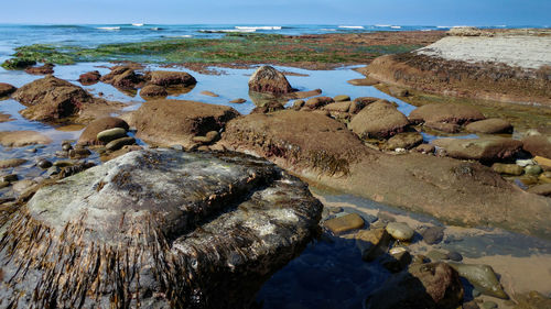 Rocks on shore at beach