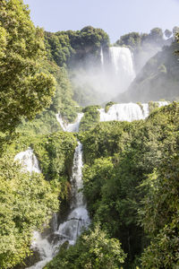 Scenic view of waterfall in forest