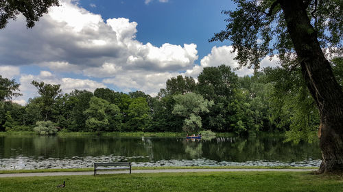 Scenic view of lake by trees against sky