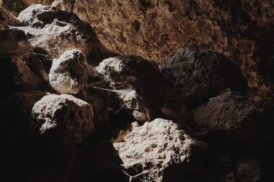 Close-up of rock formation in water