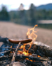 Close-up of bonfire