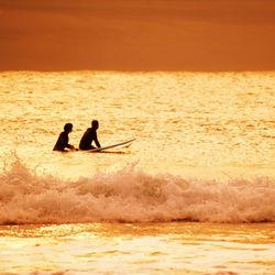 Silhouette of people in sea at sunset