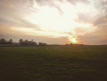 Scenic view of field against sky during sunset