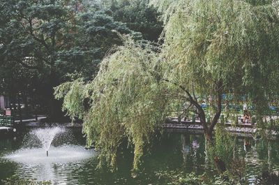 Scenic view of river flowing in forest