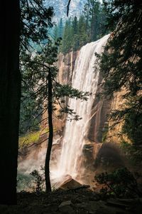 Scenic view of waterfall in forest