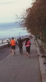 Rear view of people walking on road against trees