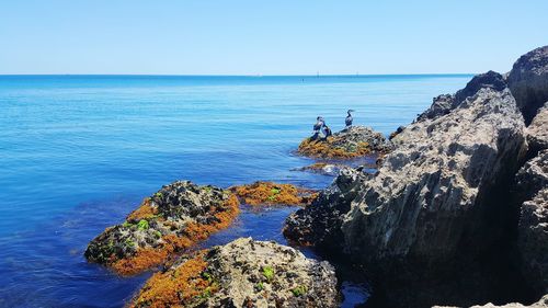 Scenic view of sea against clear blue sky