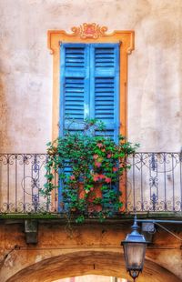 Potted plants on window of old building