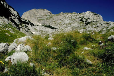 Scenic view of snowcapped mountains against clear sky