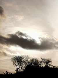 Low angle view of silhouette trees against sky during sunset
