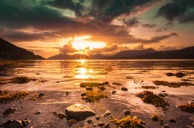 Scenic view of sea against sky during sunset