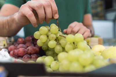 Close-up of hand holding fruits
