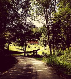 Footpath along trees