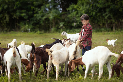 Side view of man with horse on field