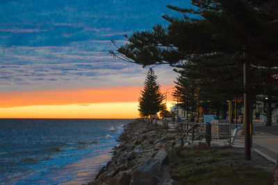 Scenic view of trees and sea against cloudy sky during sunset