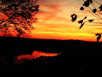 Silhouette of trees at sunset