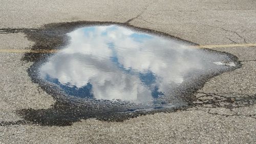 Reflection of trees in puddle