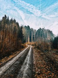 Road by trees against sky