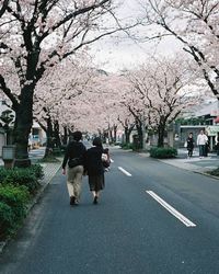 People walking on road