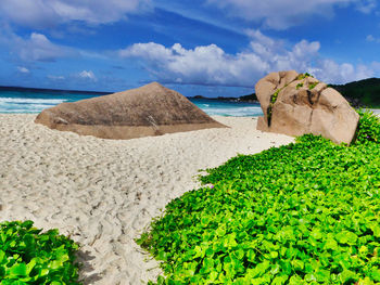 Scenic view of beach against sky