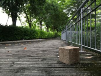 A little lonely cube sitting in a park