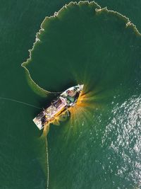 High angle view of insect on sea