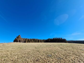 Scenic view of field against blue sky