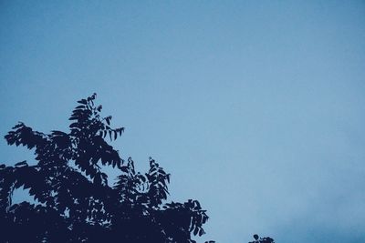 Low angle view of trees against clear blue sky