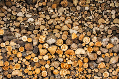 Full frame shot of logs in forest