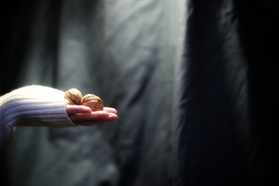 Close-up of hand holding walnuts against black background