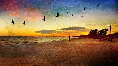 Silhouette birds flying over sea against sky during sunset