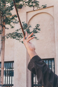 Midsection of man holding plant against building