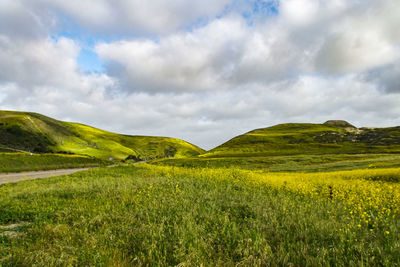 Scenic view of landscape against cloudy sky