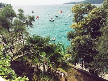 High angle view of trees by sea against sky