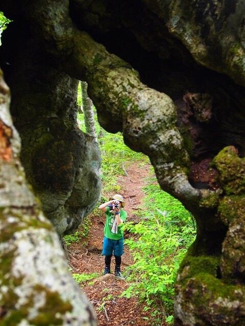 full length, child, girls, adventure, childhood, one girl only, one person, children only, nature, day, tree, people, outdoors, beauty in nature, adult, human body part