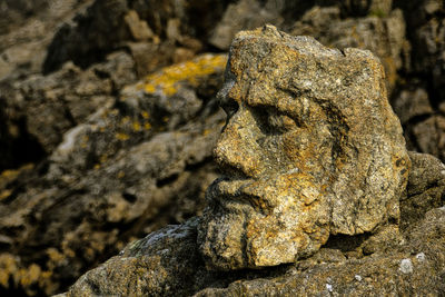 Close-up of statue of rock