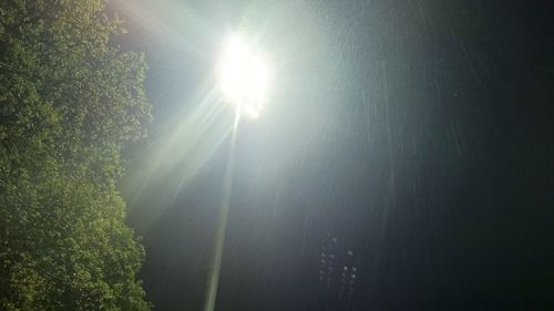 Low angle view of trees against sky