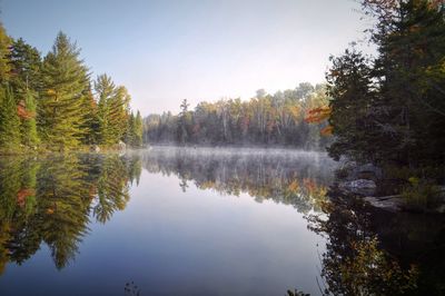 Reflection of trees in calm lake against clear sky