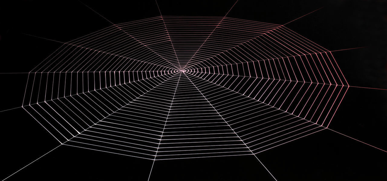 LOW ANGLE VIEW OF ILLUMINATED SPIDER WEB