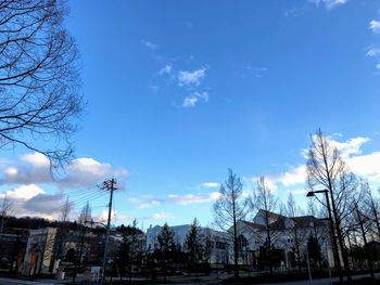 Low angle view of silhouette trees and buildings against sky