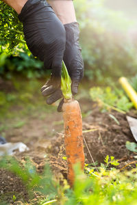 Low section of woman standing on field