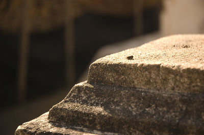 Close-up of stone on rock