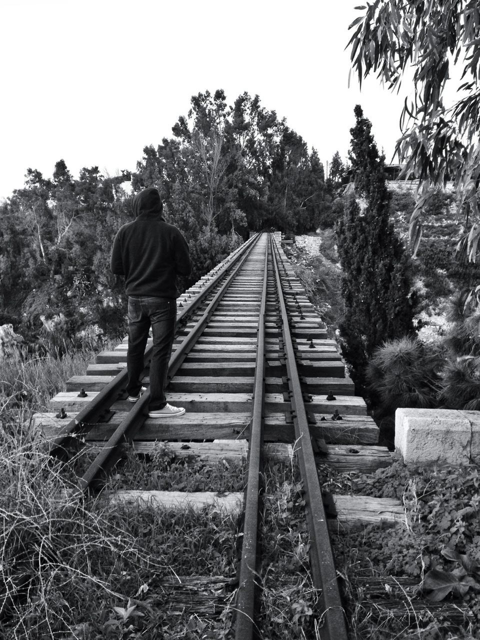 railroad track, tree, the way forward, rail transportation, rear view, clear sky, diminishing perspective, full length, transportation, lifestyles, men, vanishing point, day, growth, steps and staircases, leisure activity, forest, railing