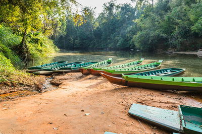 Scenic view of river in forest