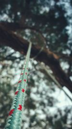 Low angle view of tree against sky